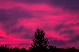 photograph of a magenta sunset