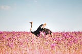 Ostrich behaviour might be a bias that hurts the potential at work