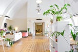 clean office loft with white painted walls and green plants