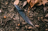 A bird feather on a forest floor.