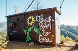 tiny house with sunflower and “always room to grow” written on it to represent things from other writers that make me think