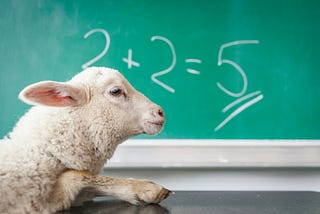 A photo of a lamb sitting in front of a chalk board with the image of 2 + 2 = 5.