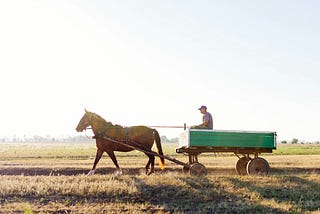 A man driving a horse hitched to a flat bed cart, on a road through fields