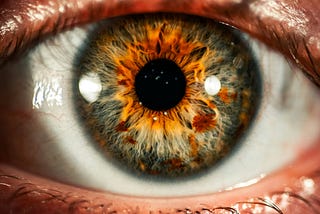 Hazel Eyes: A Rare and Beautiful Eyes Found in the World