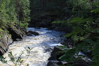 Sunlit rapids on the left of the frame lead into the shadows down river and around the bend.