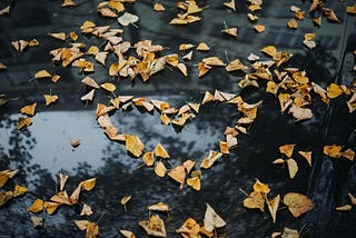 Dried leaves in the shape of a heart.