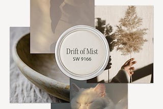 Drift of Mist: Sherwin-Williams’ February Color