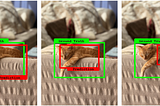Mean Average Precision (mAP) and other Object Detection Metrics