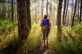 Woman walking through a sunlit forest with a backpack