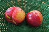 two nectarines just off the tree
