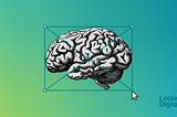 This is your brain on design: using cognitive science to design effective experiences