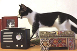 Author’s photo of Bella, a black and white kitten, on a desk with a picture frame, radio and decorative box