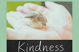 The Power of Kindness and Why it Matters More Than Ever