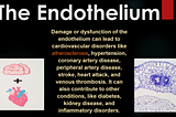 The Endothelium: Cellular Focus on Atherosclerosis to Prevent Heart Disease and Stroke