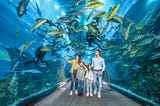 Dubai Aquarium & Underwater Zoo ( Dubai UAE 2024 )