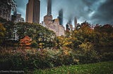 NYC skyscrapers with the tops of the buildings obscured by dark clouds with a view of fall foliage in Central Park in the foreground.
