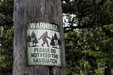 I’m Too Old to Be Looking for Bigfoot or for Closure