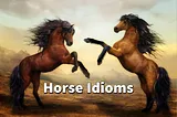 20 Horse Idioms & Sayings