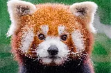 Pixelated picture of a red panda.