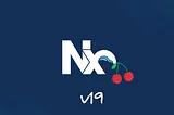 🍒 Cherry-Picked Nx v19 Updates