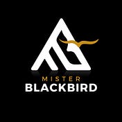 Mister Blackbird