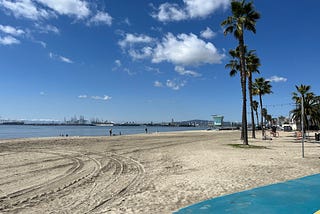 An image of the beach with palm tres, white clouds in a blue sky, and tire tracks on the sand.