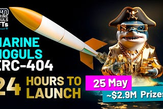 24 Hours To Marine Moguls ERC-404 Launch