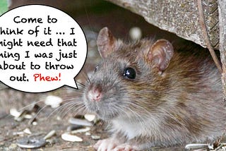 Rodent saying to themselves, “Come to think of it … I might need that thing I was just about to throw out. Phew!”