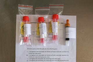 Monkeypox response in Europe