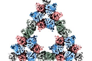 Researchers Discover a Fractal Protein