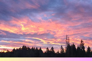 Silhouette of tree tops below a sky of purple, gray, peachy, and yellow clouds.