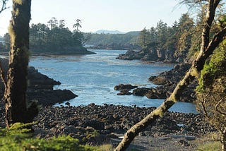 Ultimate Relaxation: Ucluelet Vacation Homes with Spa Services and Beach Access