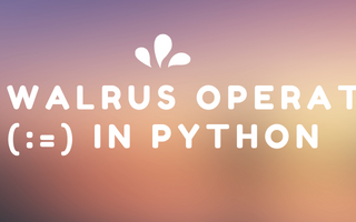 The Walrus Operator (:=) in Python