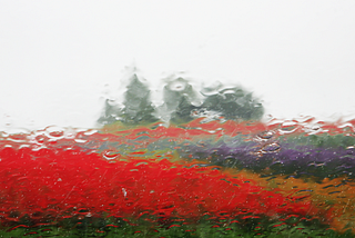 Blurred image of flowers through a rainy window; alt-text for “What if Nothing is Ever Funny Again?”