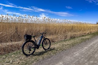 A photo of my mountain bike in front tall yellow grass