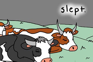 cows sleeping next to text “slept”