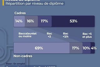 French diplomas in 2022 how qualified are managers