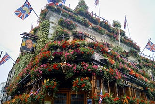 Have You Ever Seen a Blooming Pub?
