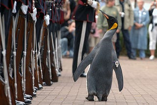Find out about the only knighted penguin in the world