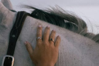 A woman’s hand touching a horse’s neck.