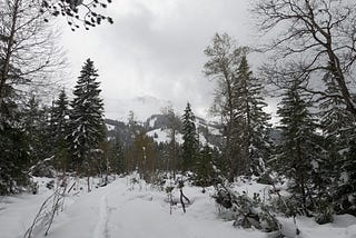 Hiking in a Snowstorm in Mid-April