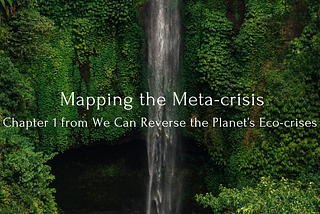 Mapping the Metacrisis