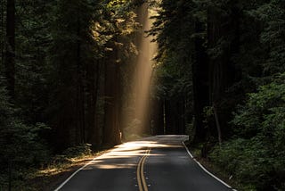 Image of a ray of sunshine through a dark forest canopy of trees landing on a paved road.