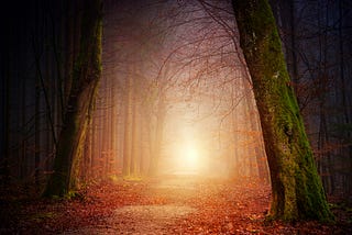The is a multi-colored image of a path in a forest. The trees in the foreground provide a dark frame. In the background is a hazy bright light, showing the path forward. The trees closer to the light have no leaves, and there are colorful leaves on the ground.