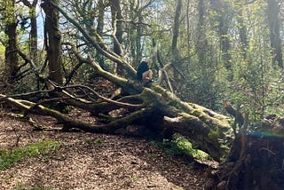 Our little girl climbs a huge, fallen tree in the woodland