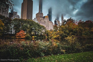 NYC skyscrapers with the tops of the buildings obscured by dark clouds with a view of fall foliage in Central Park in the foreground.