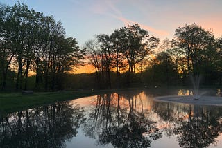Salmon-colored sunrise and silhouetted trees reflected in a pond