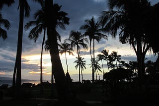 A photo of picturesque palm trees silhouetted against dark clouds and illuminated in the center by a golden sunset.