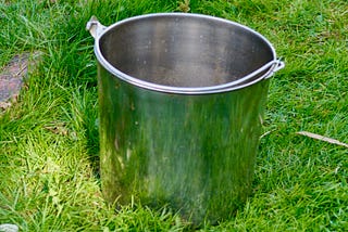 A silver bucket sits on a bed of green grass
