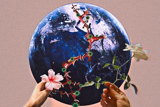 SAVE THE EARTH: AN ENVIRONMENTAL POEM
The Earth is a truly remarkable place, but it’s environment…